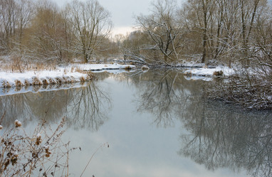 Similar image 21171542