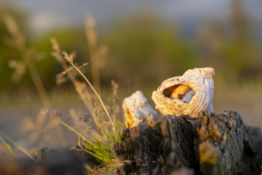 Similar image 21179525