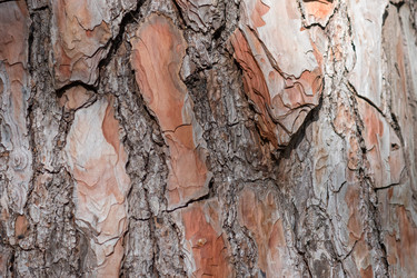 Similar image 21174221