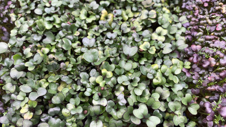 Similar image 21177946