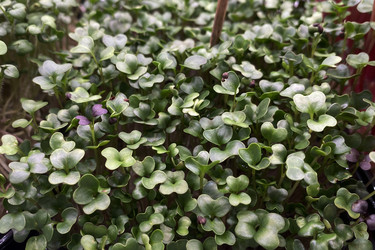 Similar image 21174227