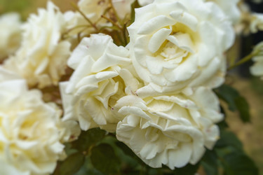 Similar image 21174228