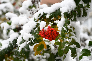 Similar image 21171547