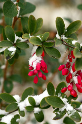 Similar image 21171548