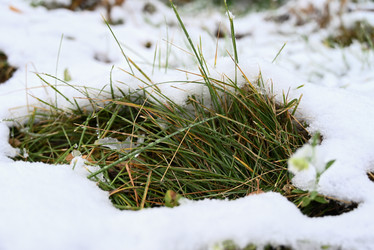 Similar image 21171549