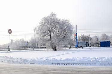 Similar image 21171552