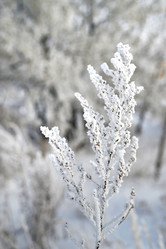 Similar image 21171553