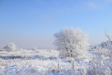 Similar image 21171555