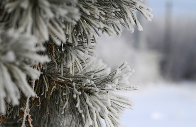 Similar image 21171556