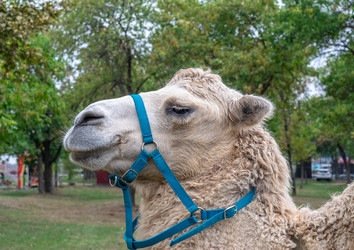 Similar image 21191544