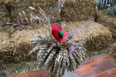 Similar image 21191688