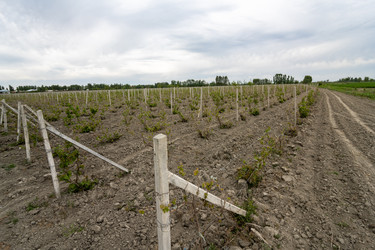 Similar image 21164267