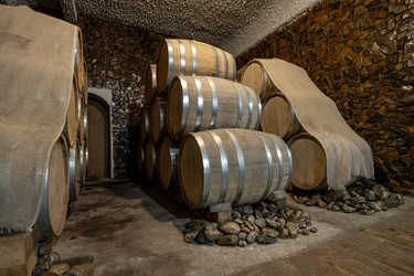 Similar image 21164272