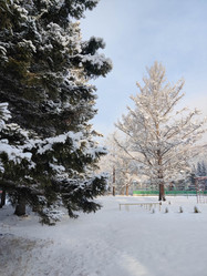 Similar image 21168718