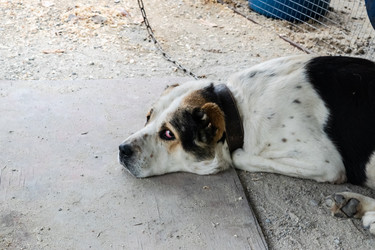 Similar image 21198930