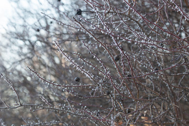 Similar image 21178793