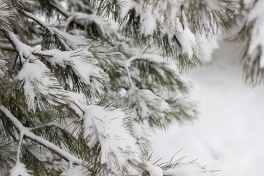 Similar image 21178794