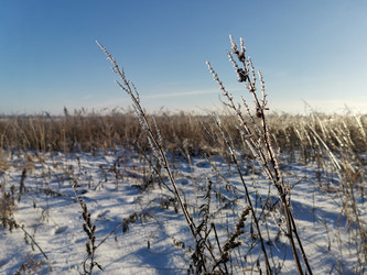 Similar image 21178796