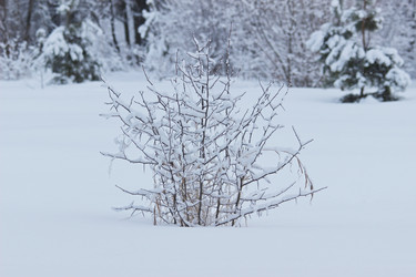 Similar image 21178797