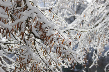 Similar image 21178799