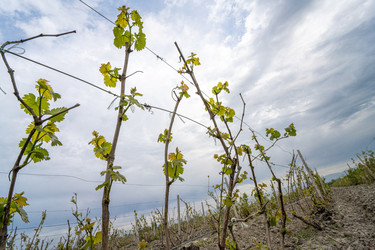 Similar image 21164142