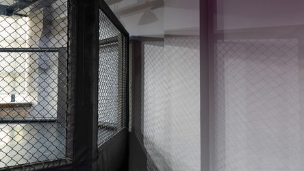 Similar image 21164502