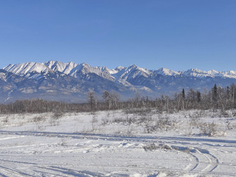 Similar image 21168739