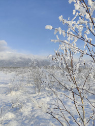 Similar image 21168740