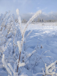 Similar image 21168741