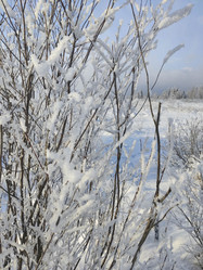 Similar image 21168742