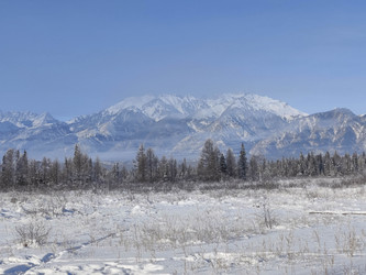 Similar image 21168743