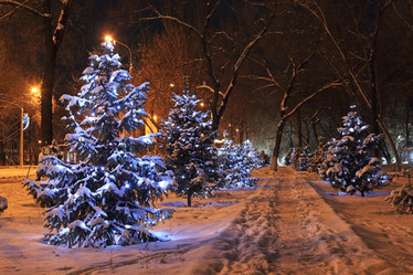 Similar image 21167310