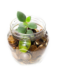 Similar image 21183925