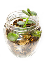 Similar image 21183927