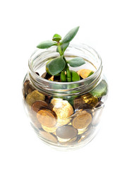 Similar image 21183931