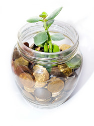 Similar image 21183933