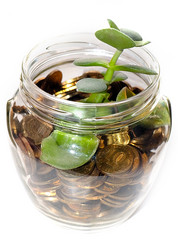 Similar image 21183937