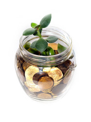 Similar image 21183939