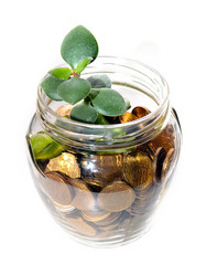 Similar image 21183941