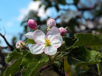 Similar image 21183942