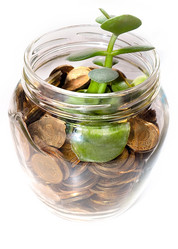 Similar image 21183943