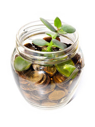 Similar image 21183944