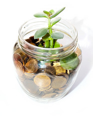 Similar image 21183945