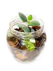 Similar image 21180805