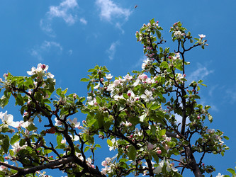 Similar image 21183947