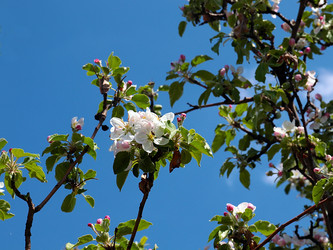 Similar image 21183949