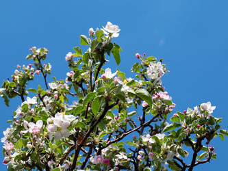 Similar image 21184139