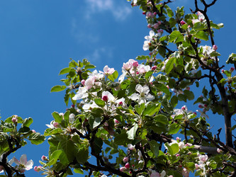 Similar image 21184140