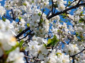 Similar image 21184141