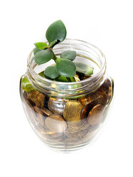 Similar image 21184142